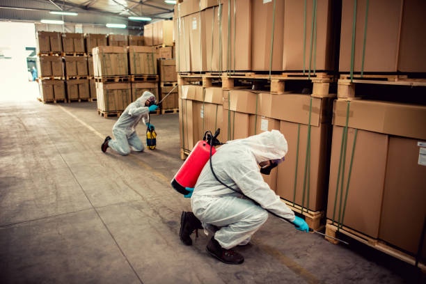 Best Termite Control Services  in Kirkl, IN