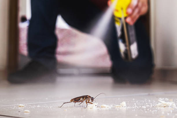 Pest Control Cost in Kirklin, IN