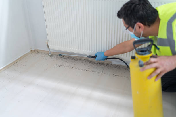 Best Residential Pest Control  in Kirkl, IN