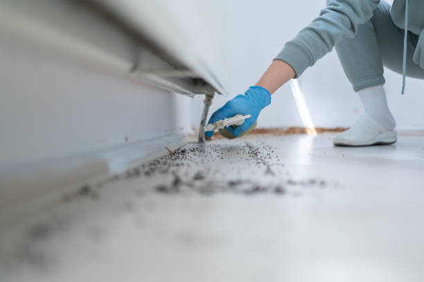Professional Pest Control in Kirklin, IN