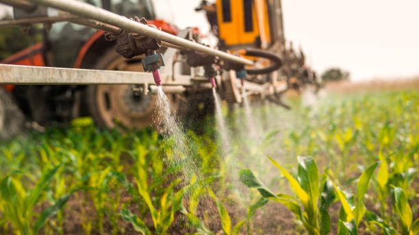 Best Commercial Pest Control Services  in Kirkl, IN